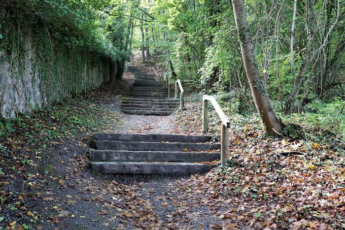 Foto: Stufen im Wald