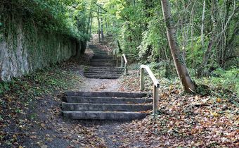 Foto: Stufen im Wald