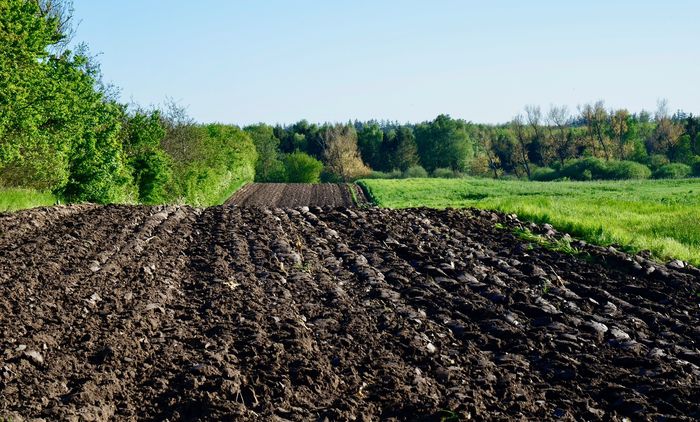 Fpoto: geplügtes Feld